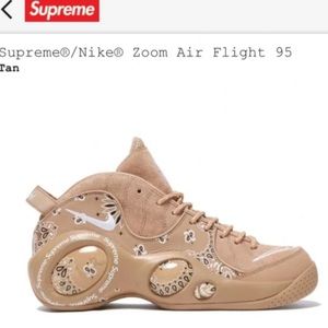 Supreme x Nike zoom air flight 95
